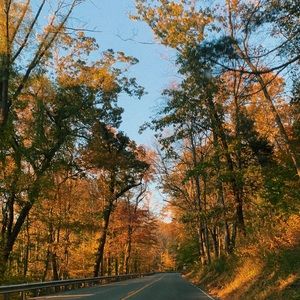 Meet your Posher, Mya